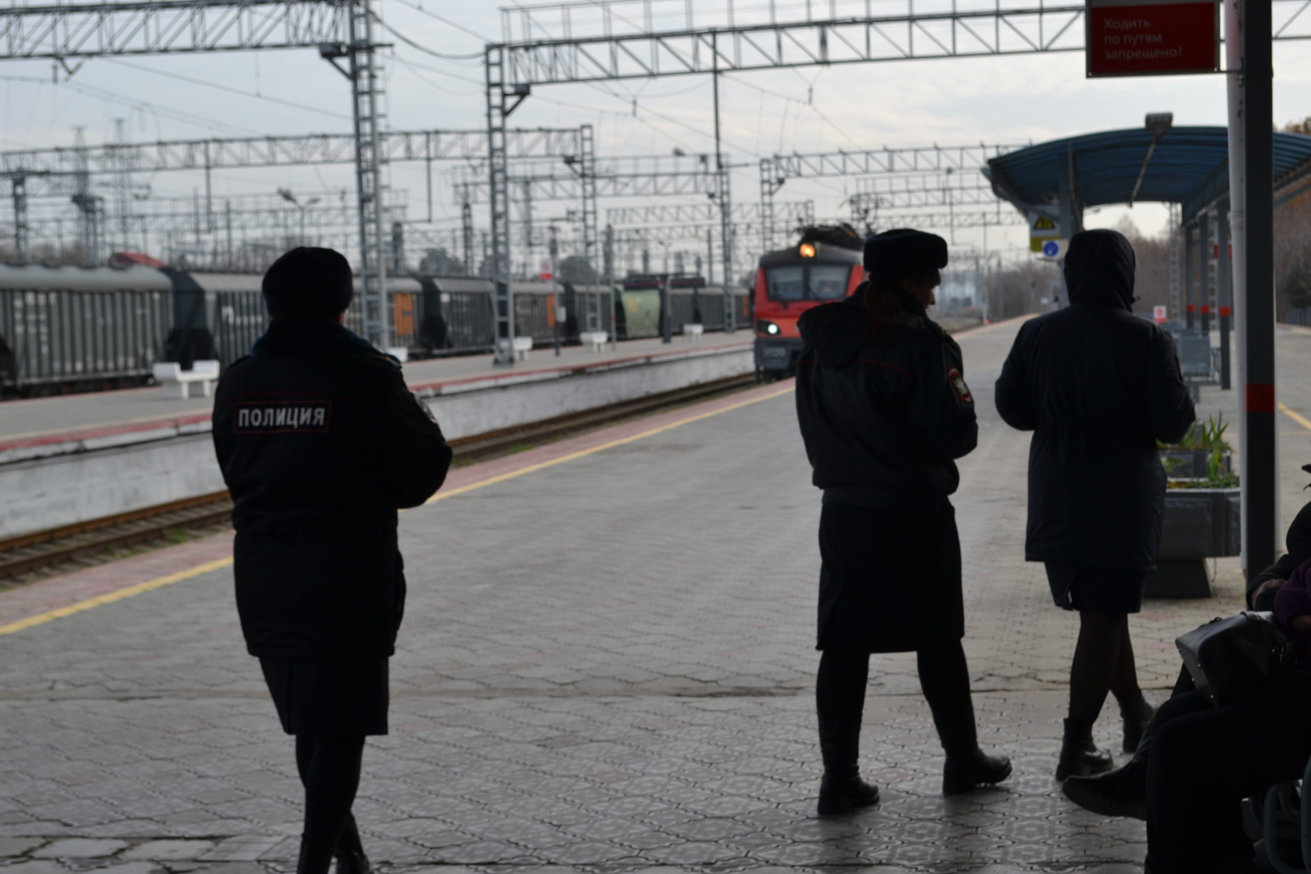 Транспортная полиция Анапы проводит набор сотрудников | 08.12.2023 | Анапа  - БезФормата